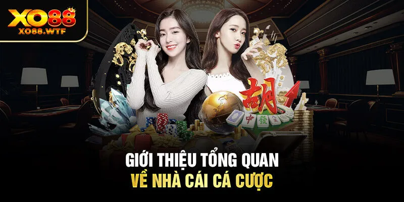 Giới thiệu tổng quan về nhà cái cá cược 