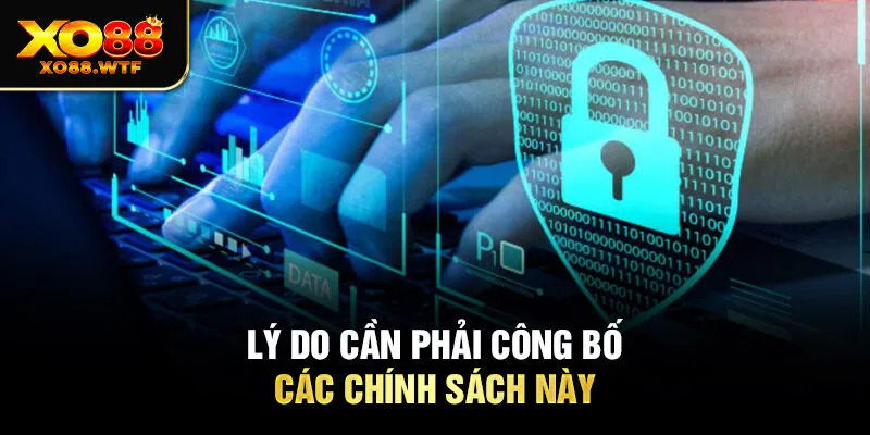 Lý do cần phải công bố các chính sách này